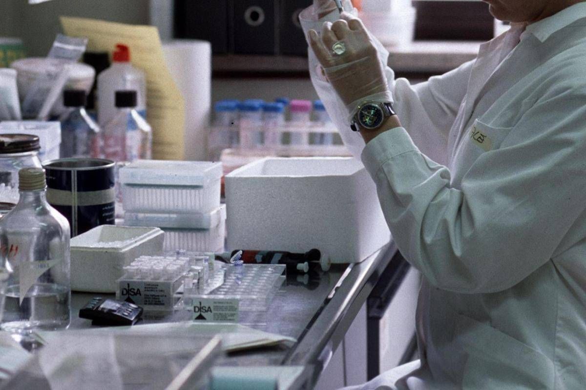 Malattie rare - fenilchetonuria, Cazzorla (Ao Padova): "Più qualità di vita con nuove cure" - 