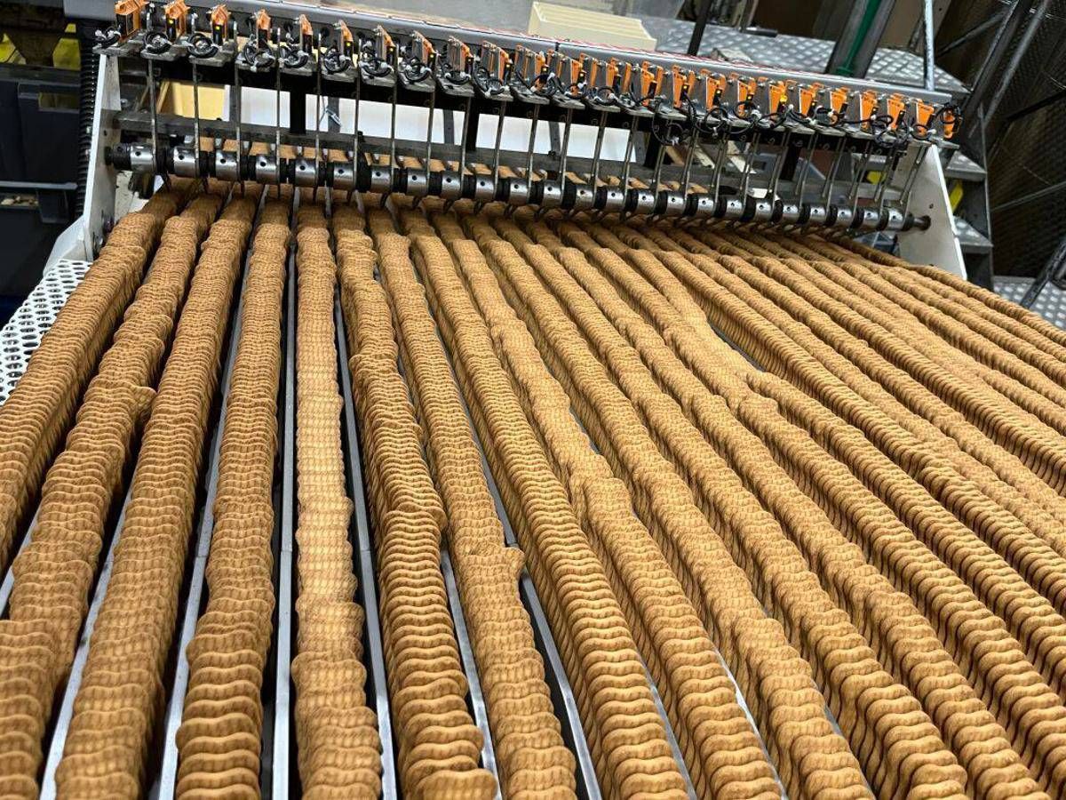 Cth Invest group, fatturato esercizio 2024-25 +9,9% - 