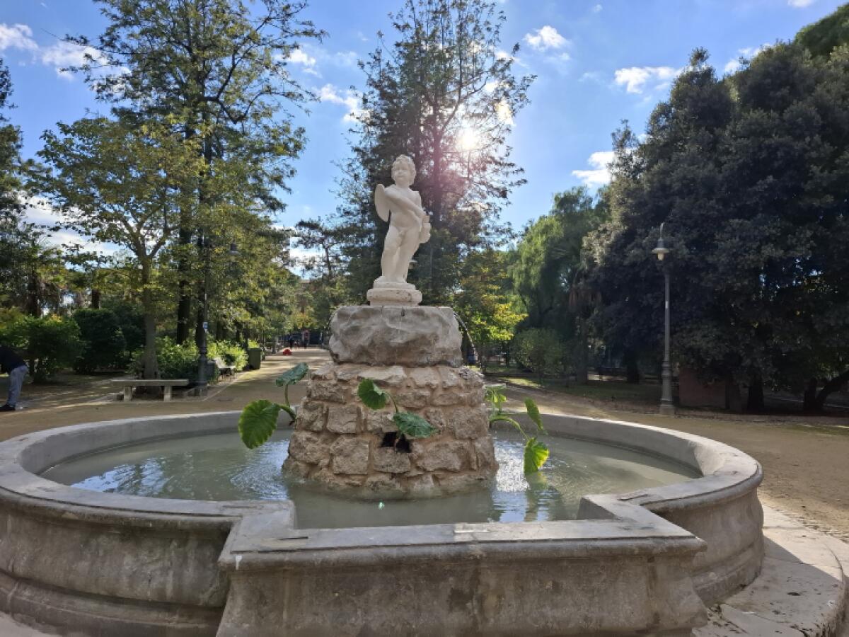 Progetto di Apprendimento Pratico del Comune di Caltanissetta a Beneficio della Collettività - 