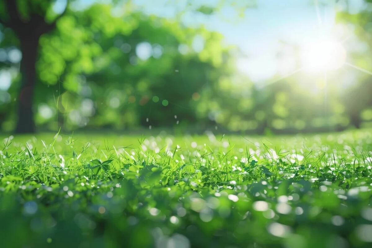 Parchi di Sicilia: Approvato bando da 100 milioni per potenziare l'agricoltura sostenibile - 