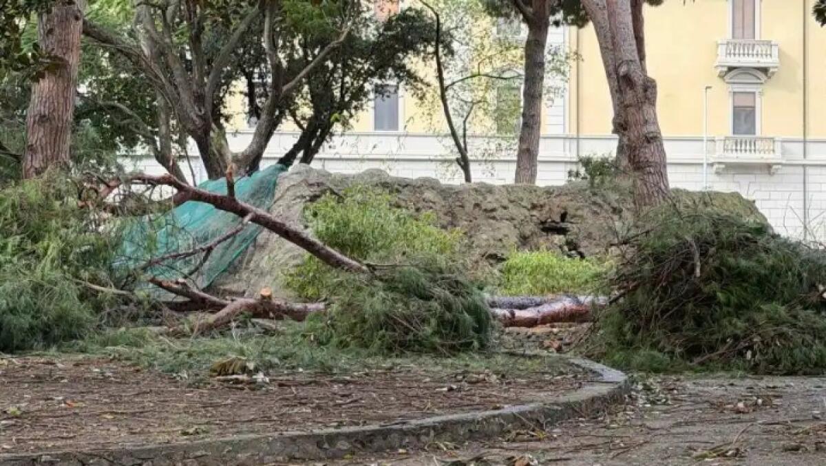 Revoca dell'ordinanza sul Comune di Messina: il Sindaco Basile interviene con una nuova misura. - 