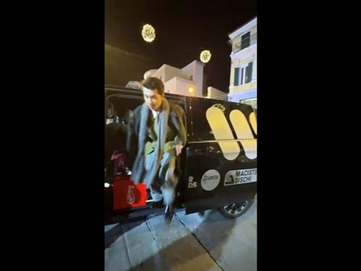 Sanremo, Fulminacci sfida la 'Stupida fortuna' e passa sotto una scala - 