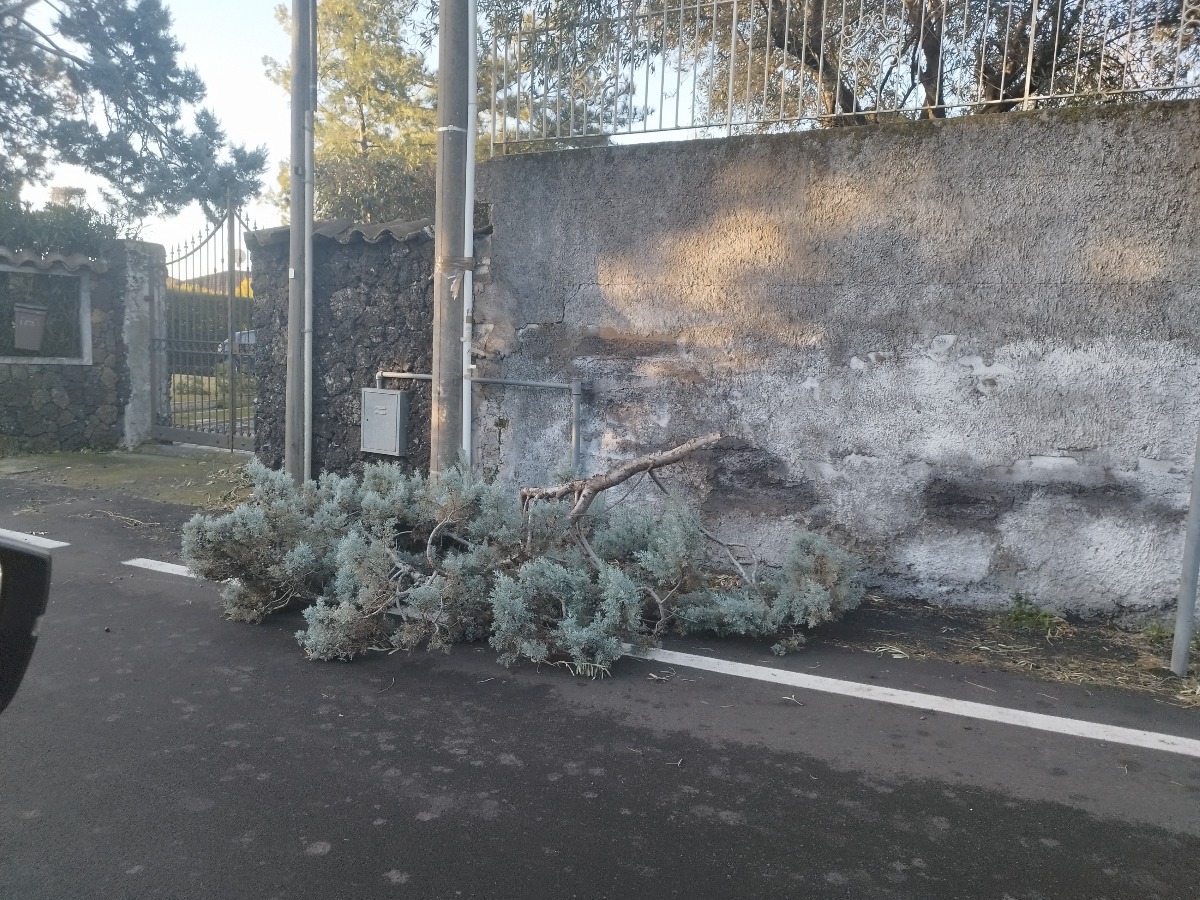 Rami nella carreggiata a Mascalucia 