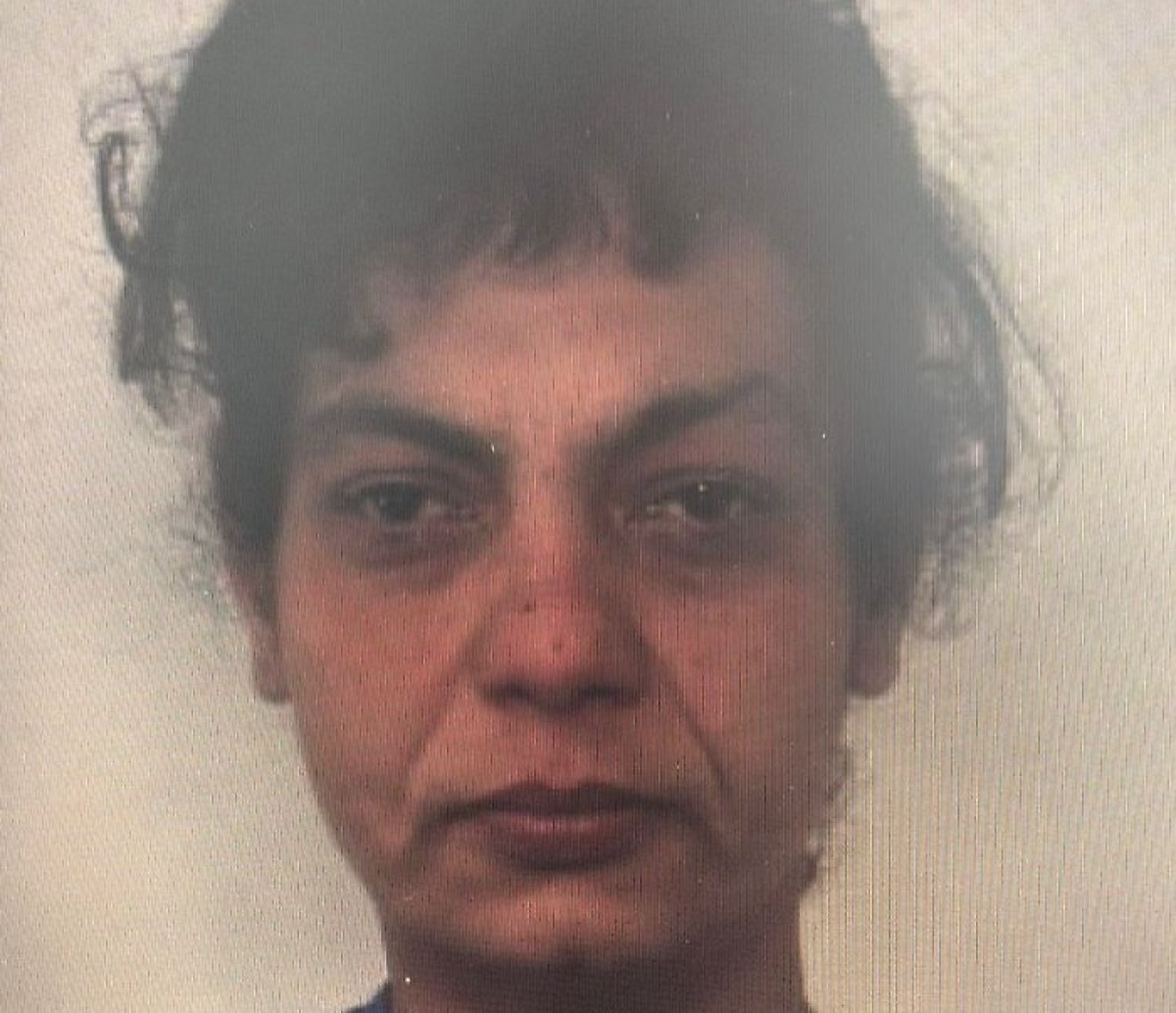 Catania, trovata morta una 36enne romena nel porto: la Procura diffonde il nome - 