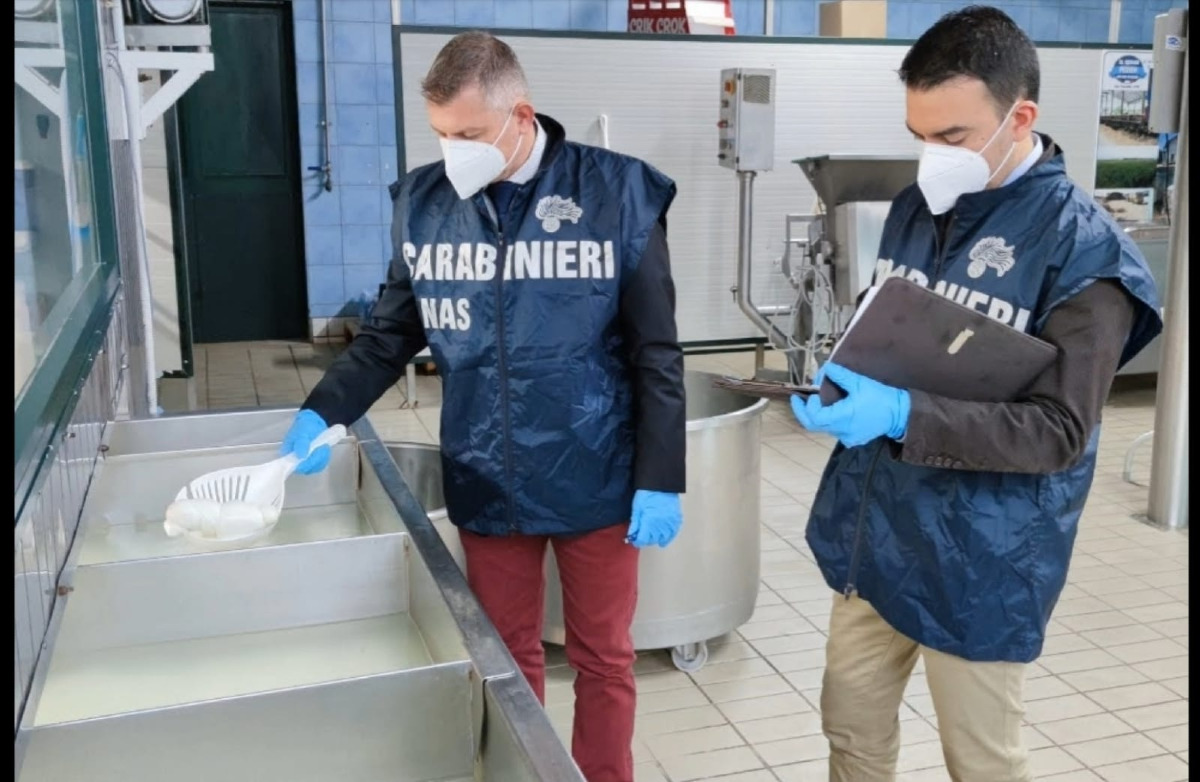 Blatte e sporco: chiuso un ristorante nel centro commerciale della periferia ovest di Catania - 