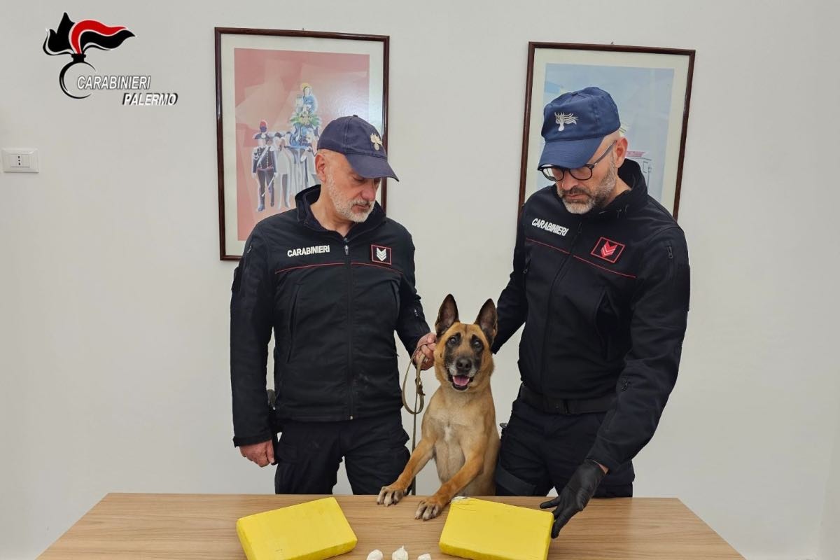 Palermo: 2 kg di cocaina nascosti nel vano della cucina, arrestato un 34enne - 