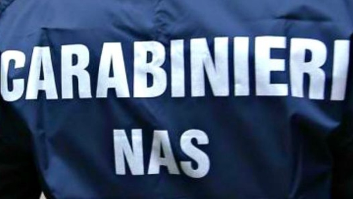 Palermo: N.A.S. intensifica controlli, sanzioni per bar e pub per assenza di HACCP e occupazioni abusive - 