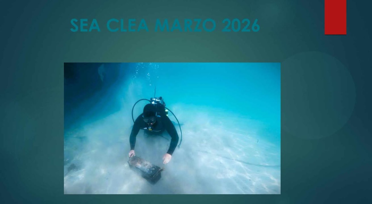 Sarday Project Sea Clean a Mondello: sub volontari e istituzioni per la pulizia dei fondali - Credit Foto Stefano Vinciguerra