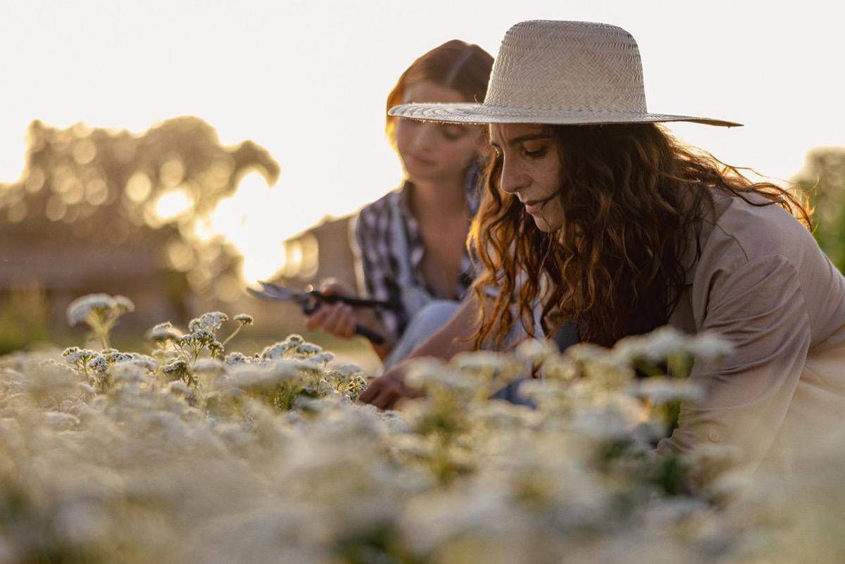 Sostenibilità, torna 'The Good Farmer Award': candidature aperte fino al 15 maggio - 