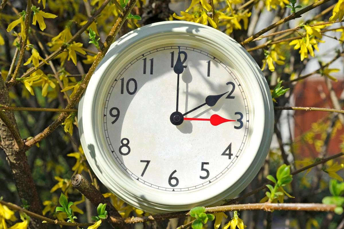 Ora legale 2026 è già arrivata, lancette avanti negli Usa - 