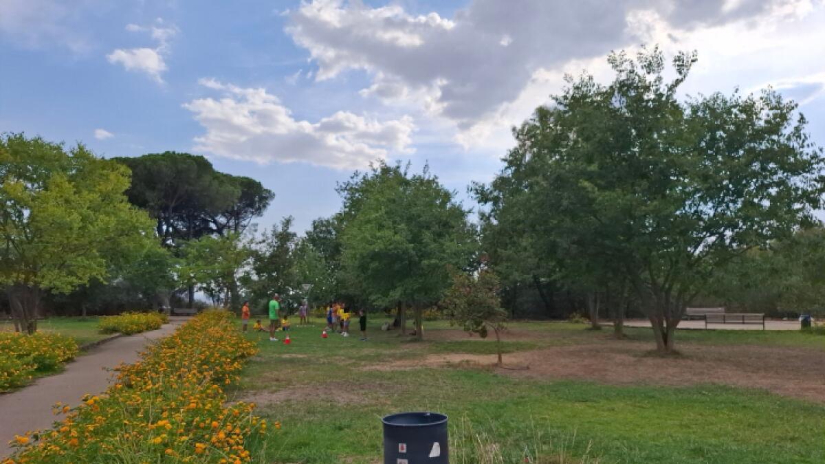 Comune di Caltanissetta: Il sindaco Tesauro richiede un incontro con l'ASP per il Parco Dubini - 