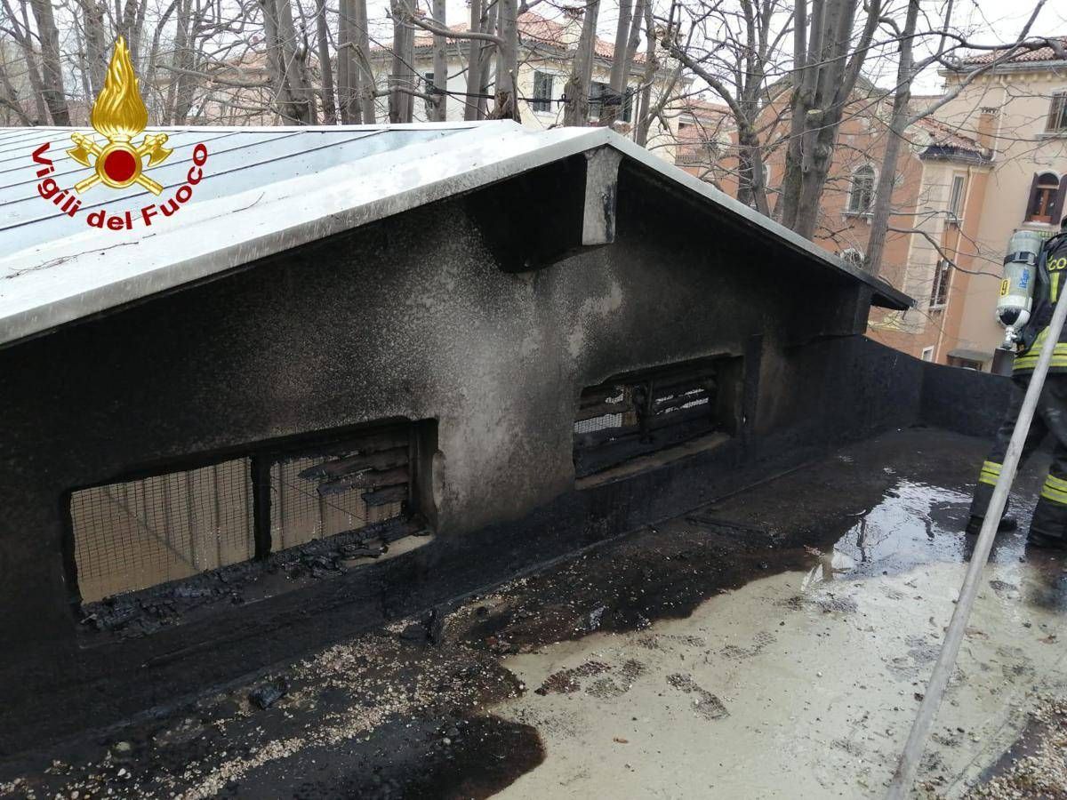 Biennale Arte, incendio su tetto padiglione Serbia: nessun ferito - 