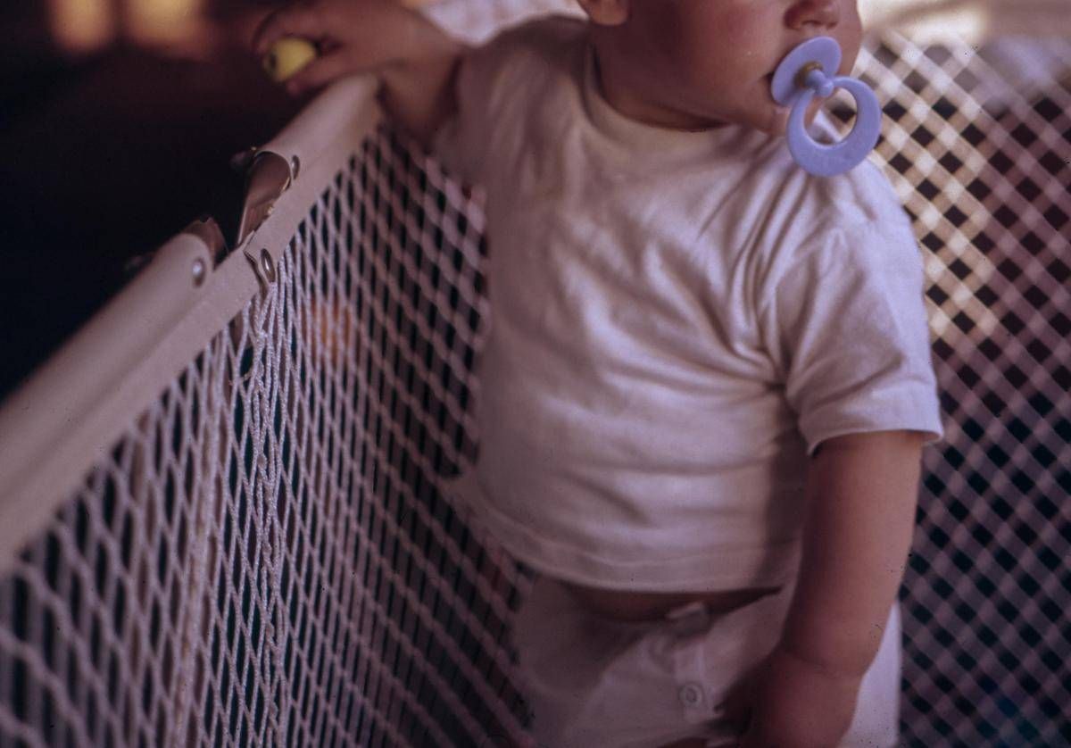 Italia 2026, cresce la popolazione straniera (soprattutto al Nord) e cala la natalità - 