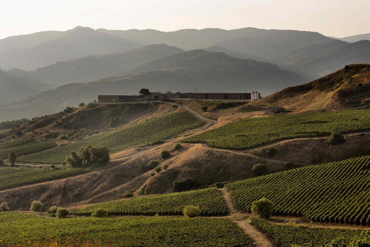 Vino italiano a rischio: le sfide globali secondo Assovini Sicilia e i produttori italiani - 