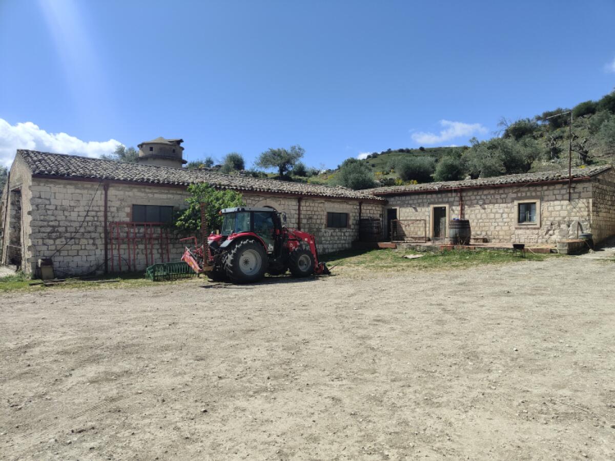 Affidamento della gestione degli immobili: l'invito del Comune di Caltanissetta - 