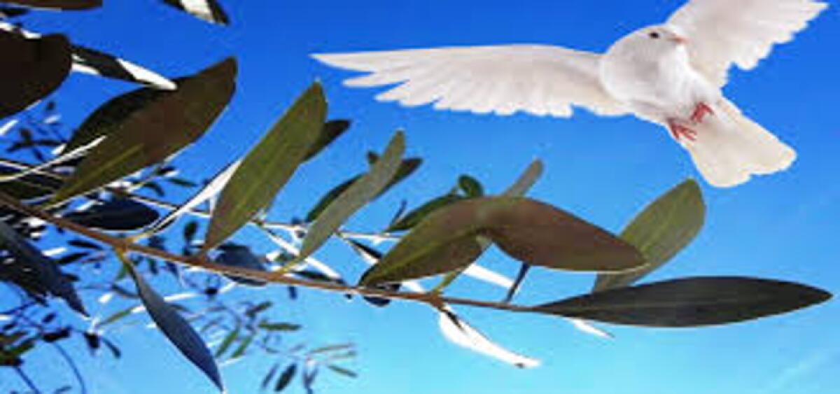 Rinnovo dei Servizi Manutentivi in occasione della Pasqua nel Comune di Messina - 