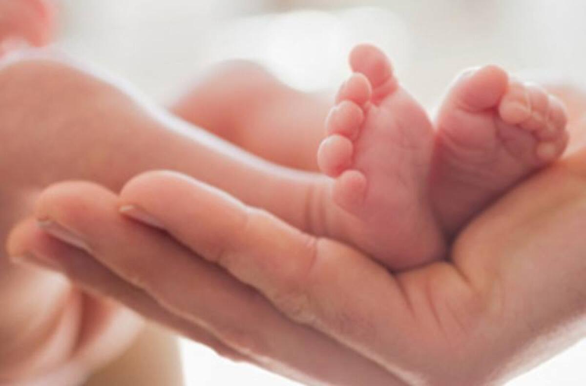 Bonus di €1.000 per i nati nel 2026: le nuove disposizioni del Comune di Palermo - 