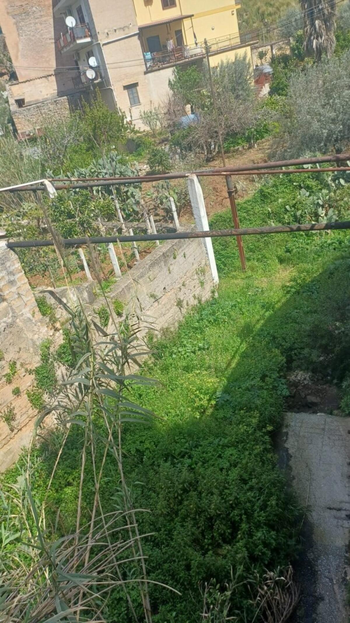 Bonifica del Canale Boccadifalco: il Comune di Palermo avvia lavori per la sicurezza idrica e la prevenzione incendi - 