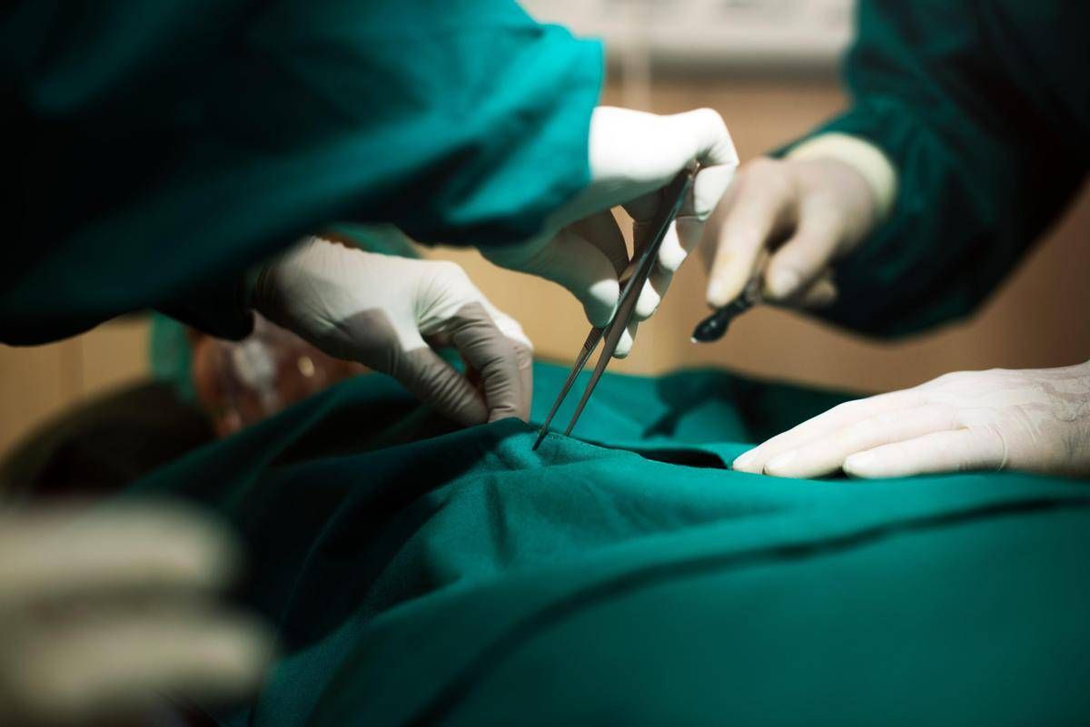 Trapianti, in Italia numeri in crescita: "2025 anno migliore di sempre" - 