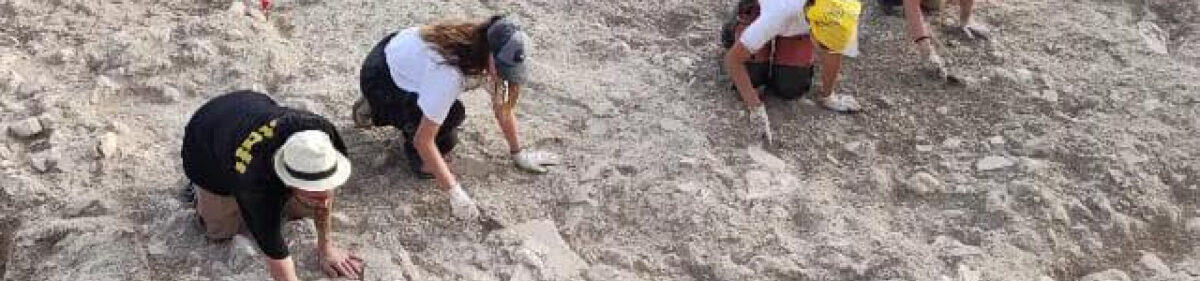 Nuova Campagna di Scavo sul Monte Sant’Angelo dei Parchi Archeologici Siciliani: Opportunità per Studenti e Laureati dell’Area Archeologica di Finziade - 