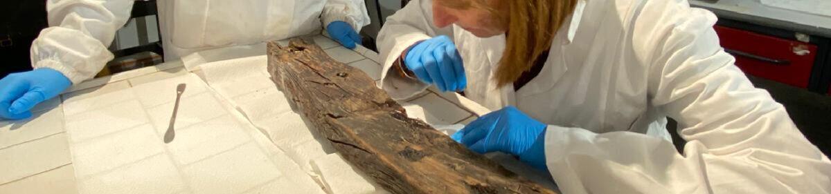 Ritorno al Museo Lilibeo: il restauro dell'elemento di prua della SisterShip nei Parchi Archeologici Siciliani - 