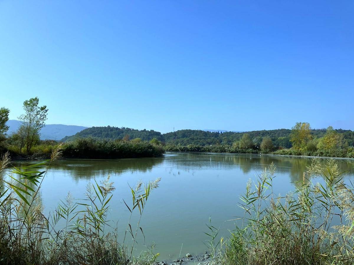 World Water Day, Sanpellegrino lancia Fonte - 