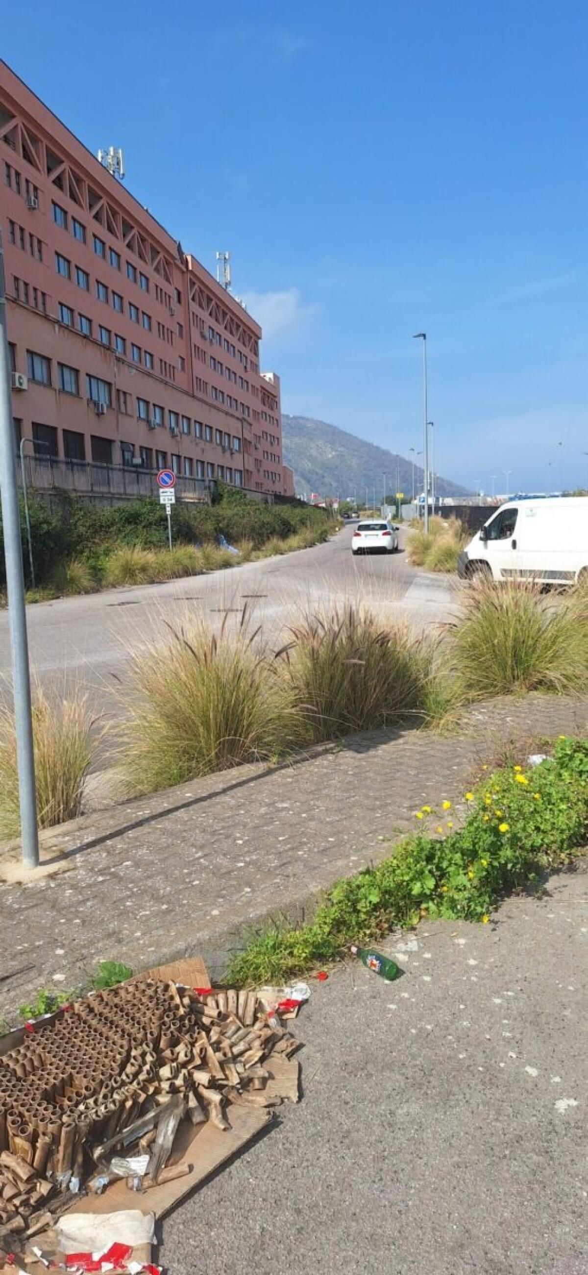 Piano di Diserbo da 1,2 Milioni di Euro nel Comune di Palermo: Criticità Persistenti nella VI Circoscrizione - 