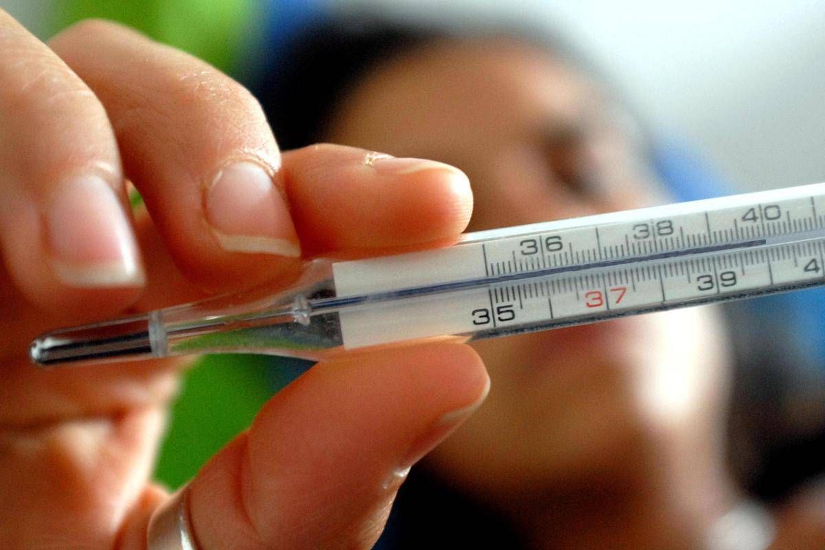 Influenza, il bilancio della stagione: "Simile alle due precedenti, con variante K picco anticipato" - 