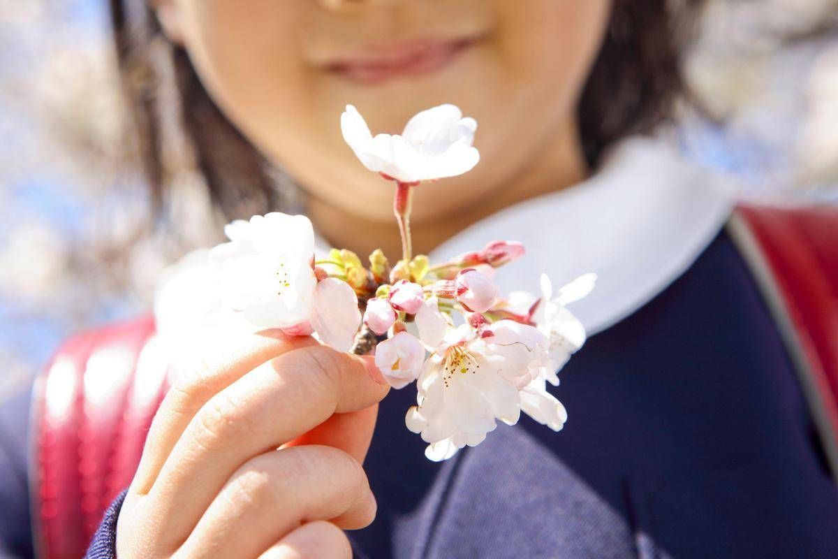 È il primo giorno di primavera, ecco perché l'equinozio cade oggi 20 marzo - 