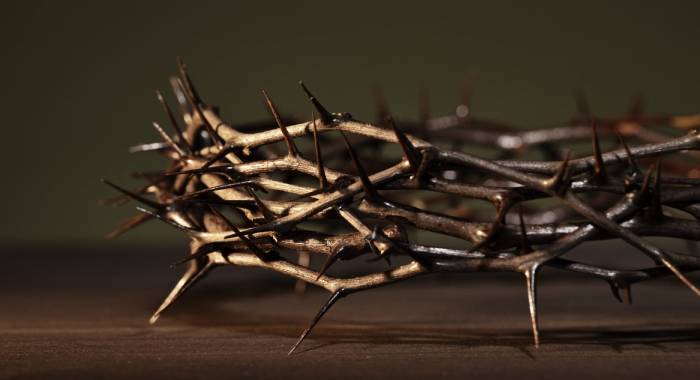 Oper’Arte 2026 - Al via la nuova stagione dal titolo