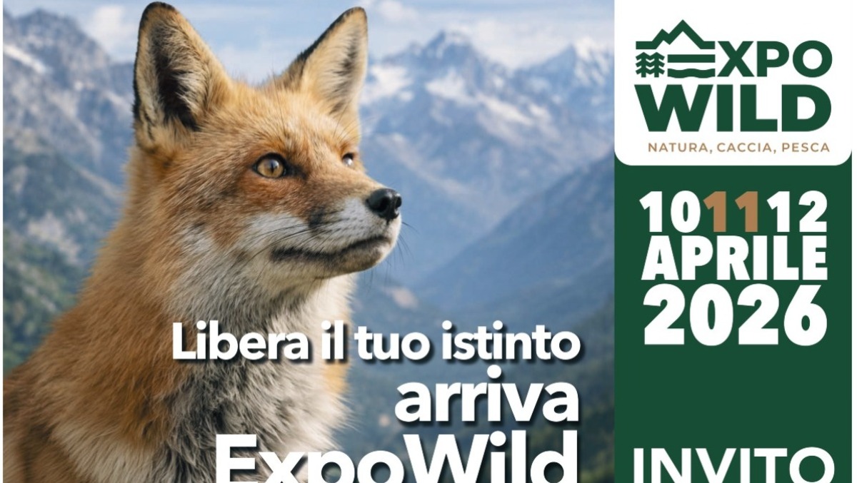 Expo Wild 2026 apre il 10 aprile a SiciliaFiera: tre giorni tra natura, sport e spettacolo - 