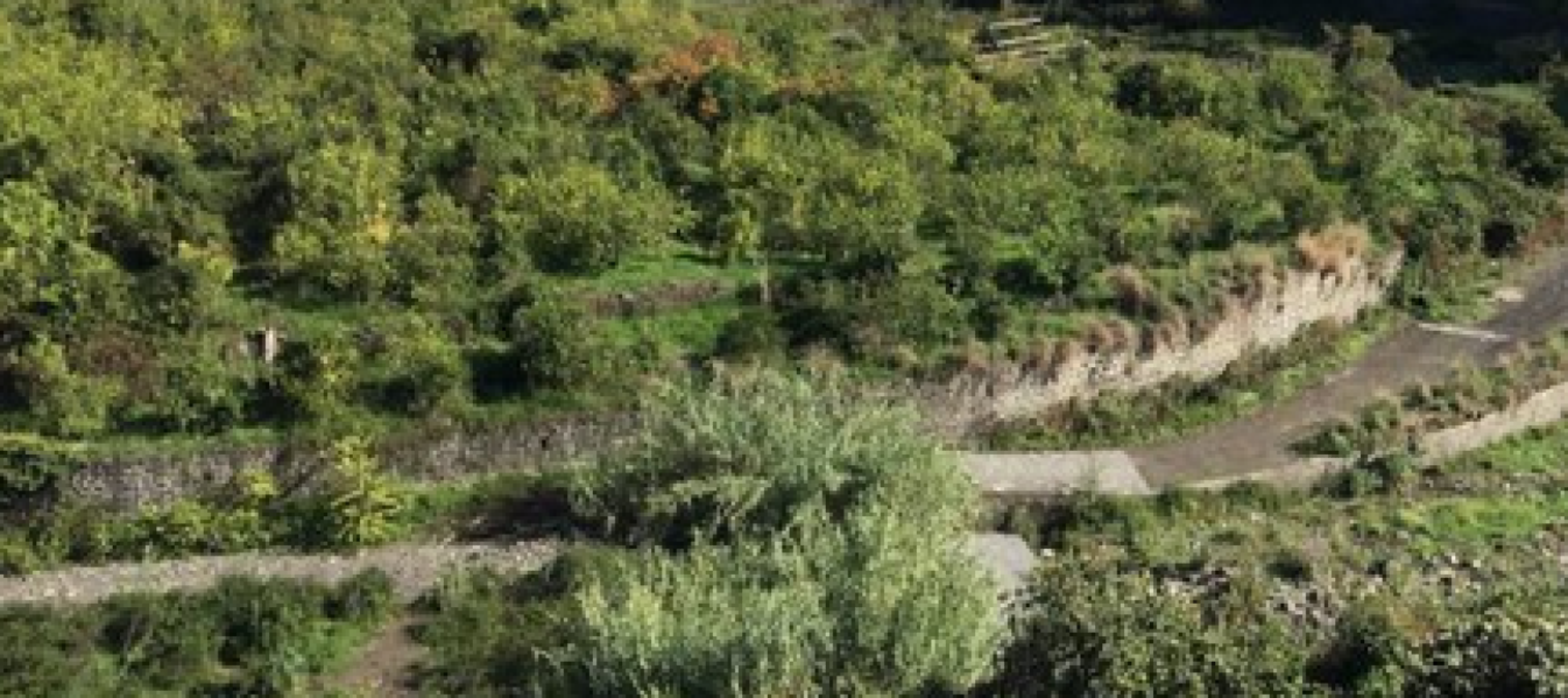 Giarre, liquami nel torrente Macchia: scoperti allacciamenti abusivi in via Ariosto - 