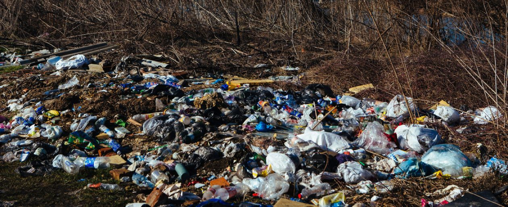 Abbandono rifiuti: 1.038 beccati dalle fototrappole nel 2025, in Sicilia 5.000 episodi - 