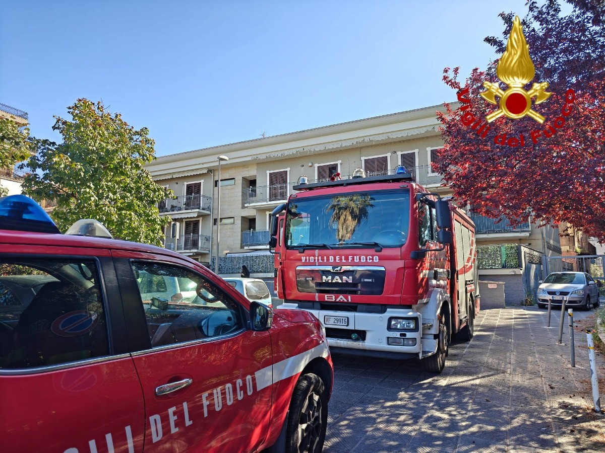 Incendio a Tremestieri Etneo: muore un gatto in un appartamento di via Cristoforo Colombo - 