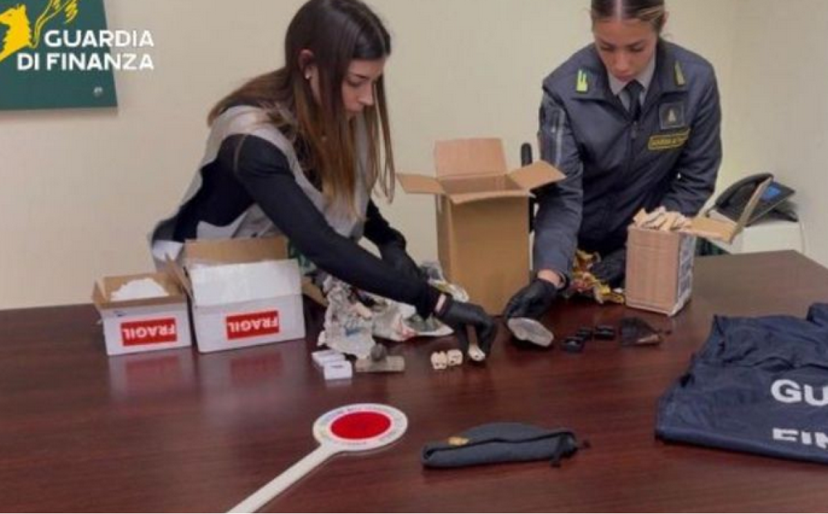 Palermo, 17 fossili sequestrati all'aeroporto: tra i reperti resti di dinosauro importati illegalmente - 