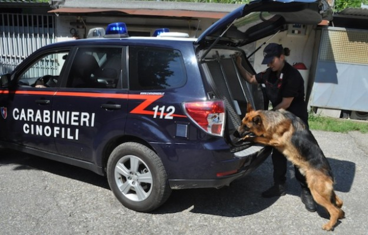 Falsomiele: arrestati due uomini per detenzione e spaccio, sequestrati hashish, taser e 'pizzino' - 