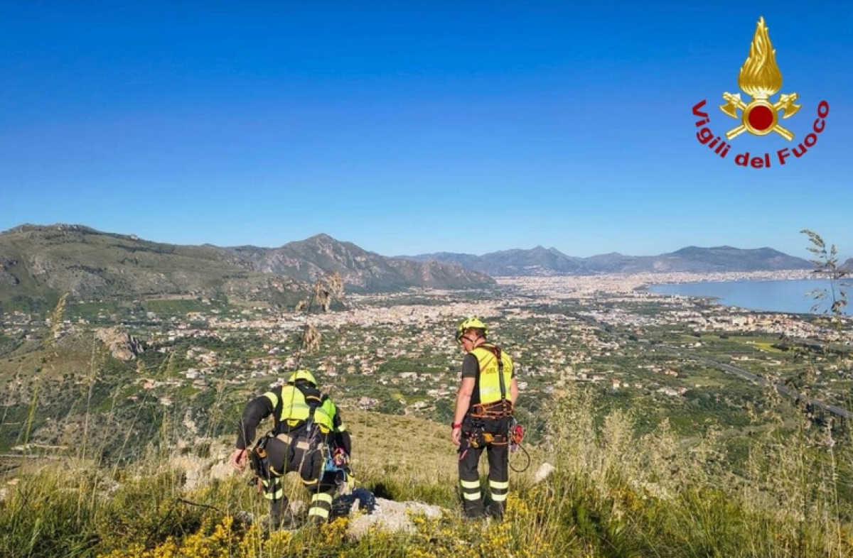 Cane salvato dai vigili del fuoco dopo la caduta in un fosso a Monte Consona - 