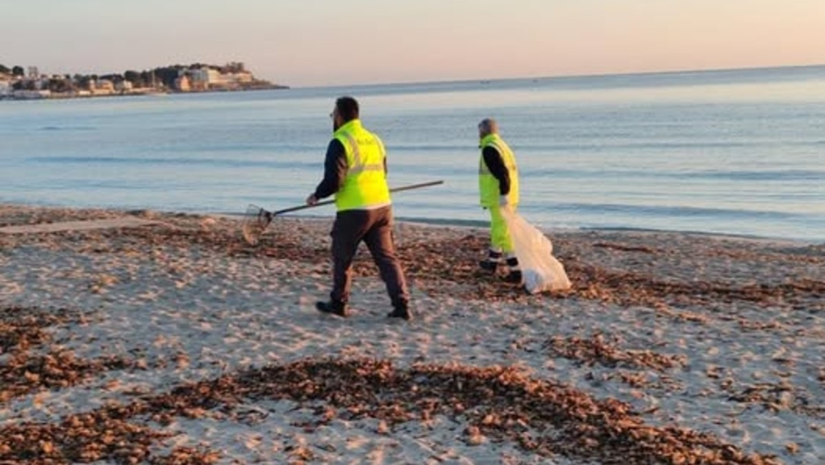 Mondello: Lagalla approva piano da 300mila euro per decoro, servizi e sicurezza - Credit Foto Roberto Lagalla