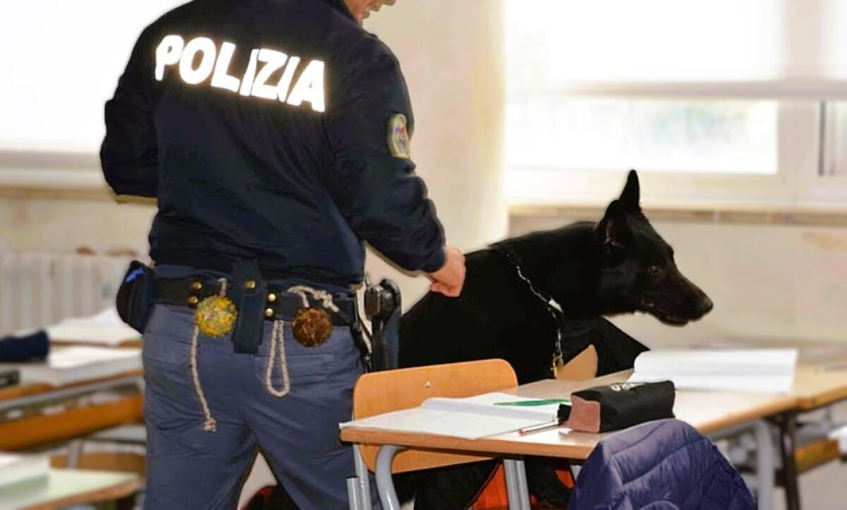 Controlli della Polizia a Caltanissetta: rinvenuti stupefacenti e armi nelle scuole superiori - 