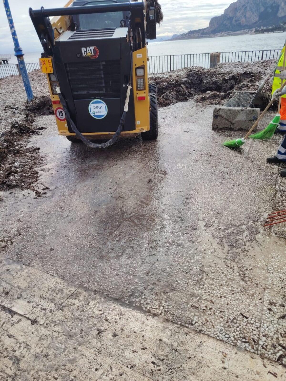 Pulizia del Litorale di Mondello: il Comune di Palermo avvia interventi di rimozione della posidonia per Pasqua - 