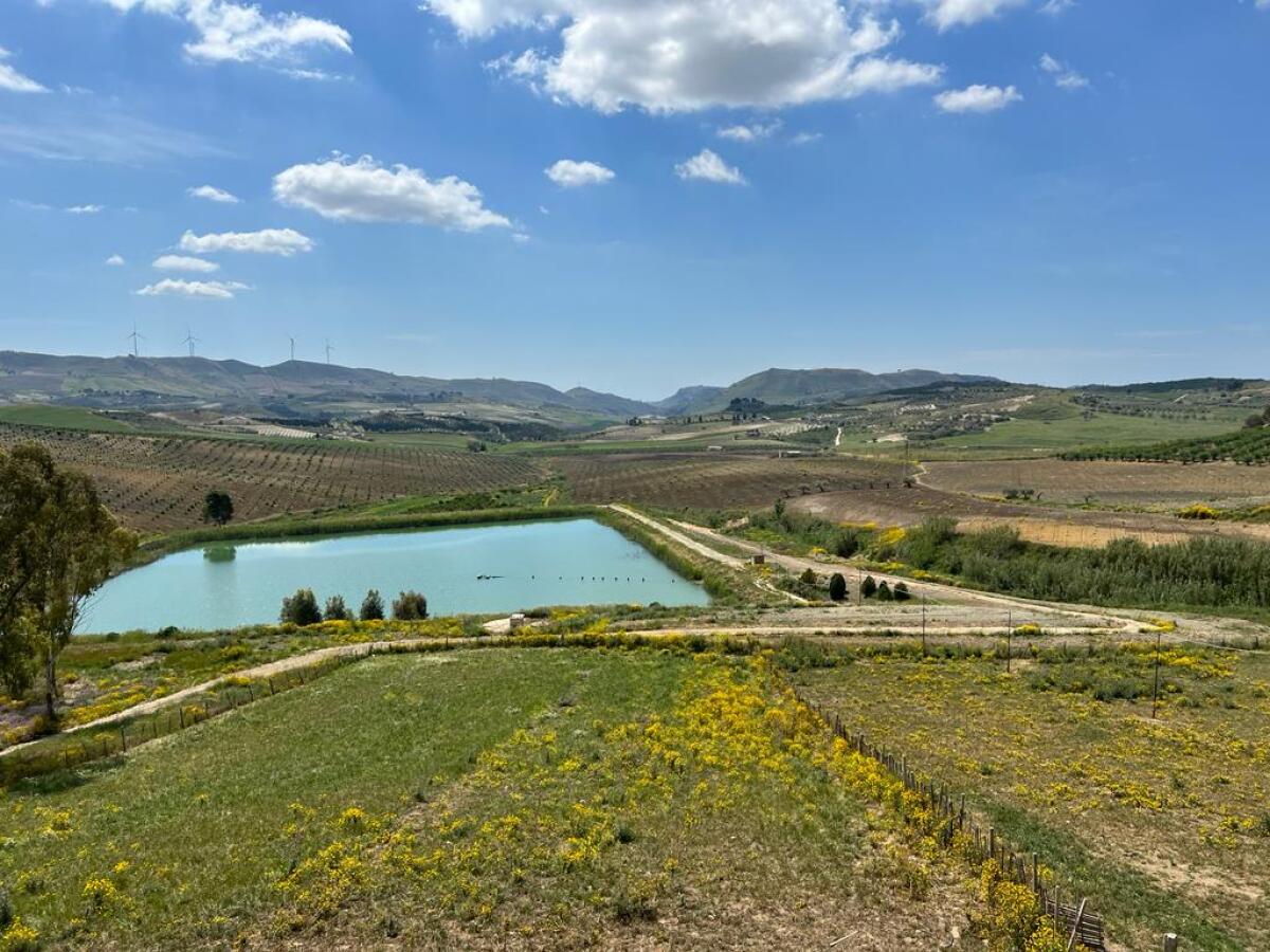 Tenute Navarra al Vinitaly 2026: un progetto vitivinicolo tra identità territoriale e innovazione di Assovini Sicilia - 