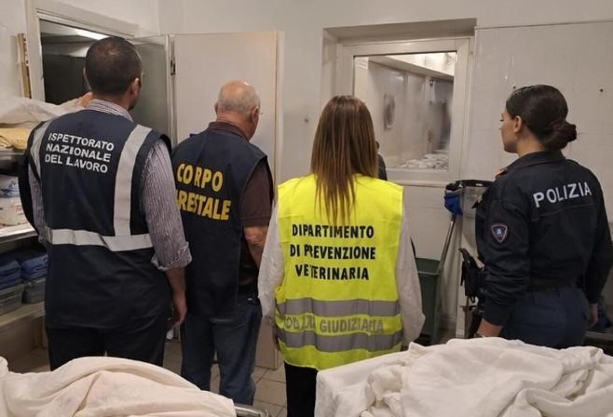 Operazione di Controllo della Polizia a Catania: Sanzioni per 42.000 Euro a Giarre per Irregolarità negli Attività Commerciali e Rsa - 
