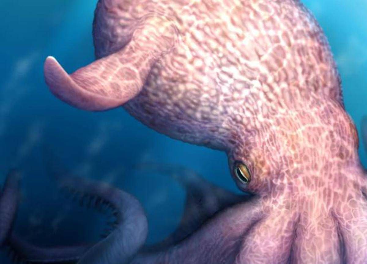 Il Kraken è esistito e dominava gli oceani, la scoperta sul 'mostro dei mari' - 