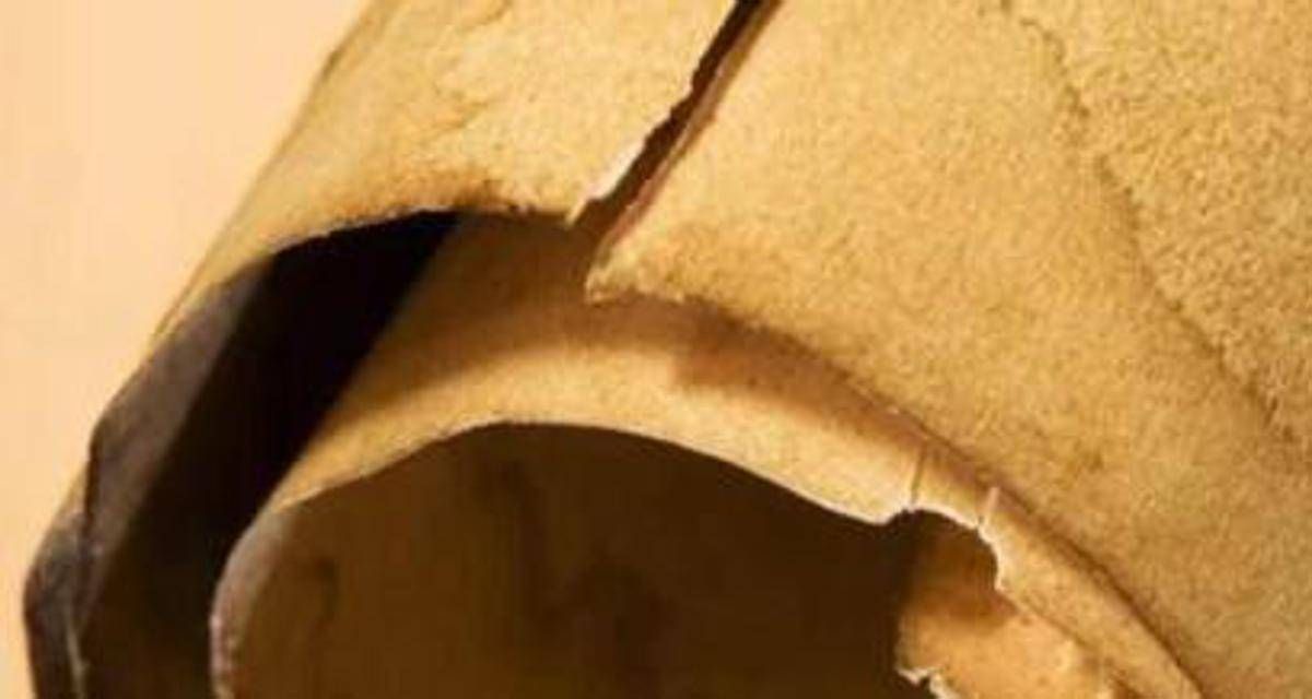 Iliade in una mummia in Egitto, il chiarimento: "Papiro usato come imballaggio" - 