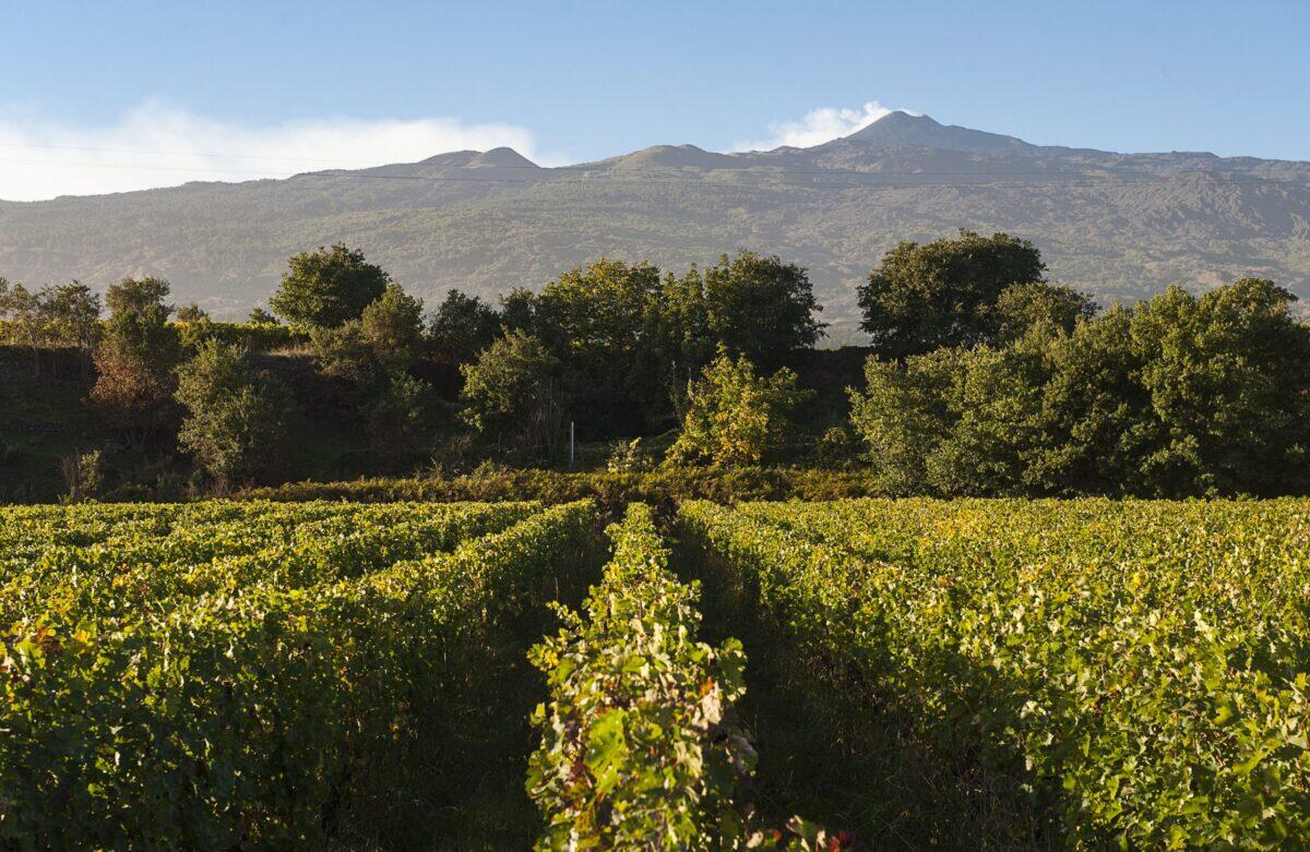 Cottanera a Vinitaly 2026: l'Etna si svela con le nuove etichette di Assovini Sicilia - 