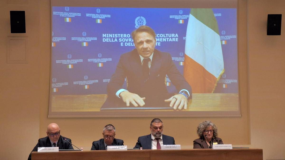 Agricoltura, Lollobrigida (FdI): "Innovazione e sostenibilità pilastri sicurezza alimentare" - 