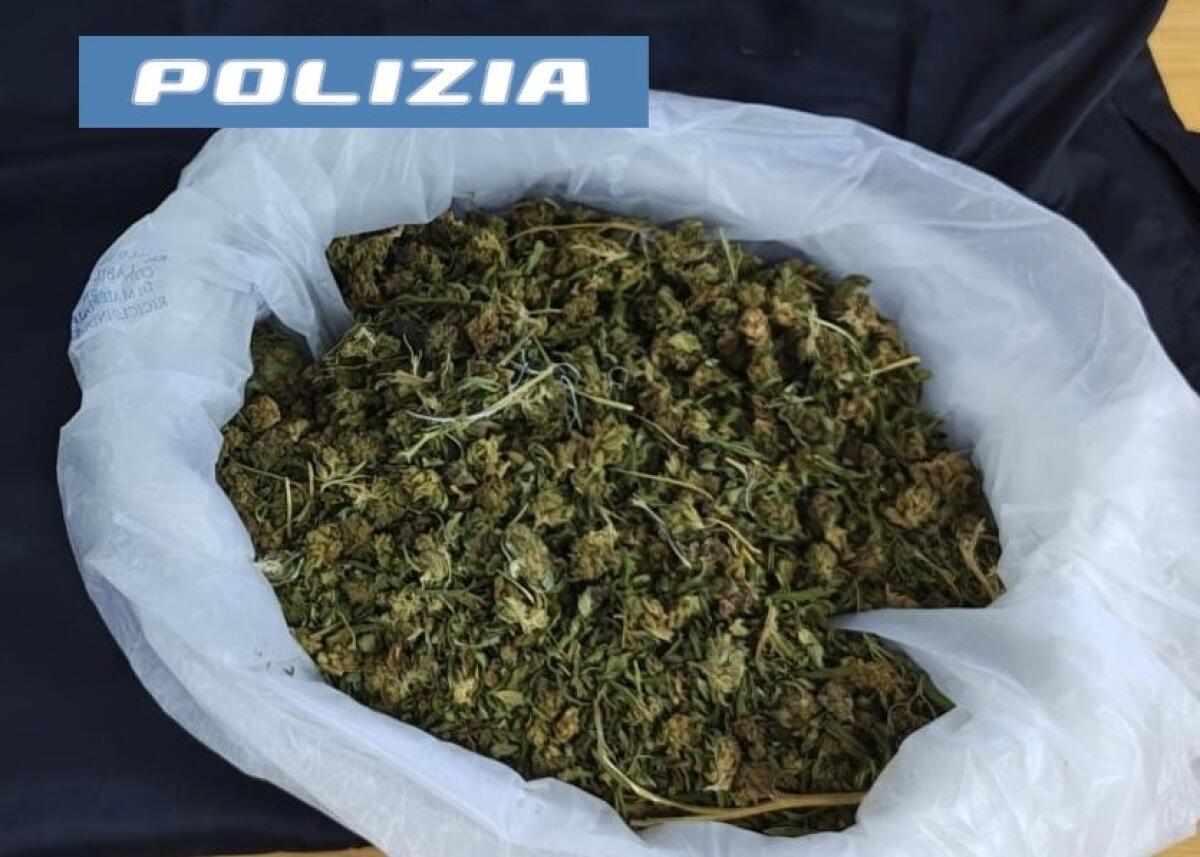 Arrestato a Catania un pusher con 125 grammi di marijuana nel garage di casa - 