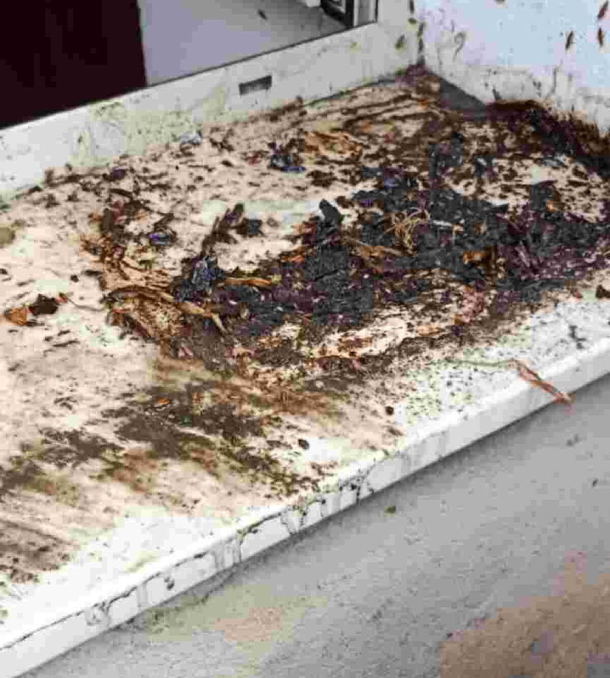 Intervento del Comune di Palermo restituisce dignità e igiene a un condominio in via Margifaraci - 