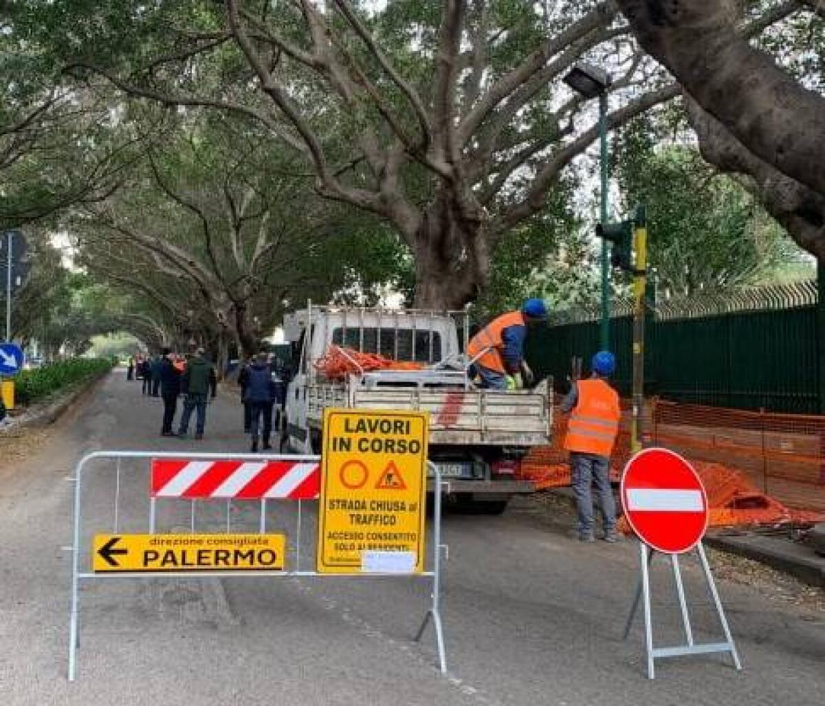 Lavori di Potatura e Sostituzione Alberature Viale Margherita di Savoia per la Sicurezza dei Cittadini: Intervento del Comune di Palermo - 