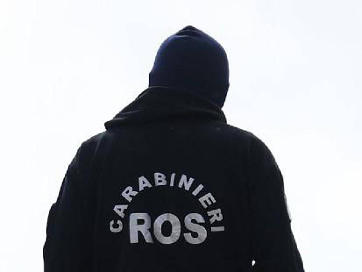 Dossieraggi, inchiesta Roma su 'Squadra Fiore': in corso perquisizioni